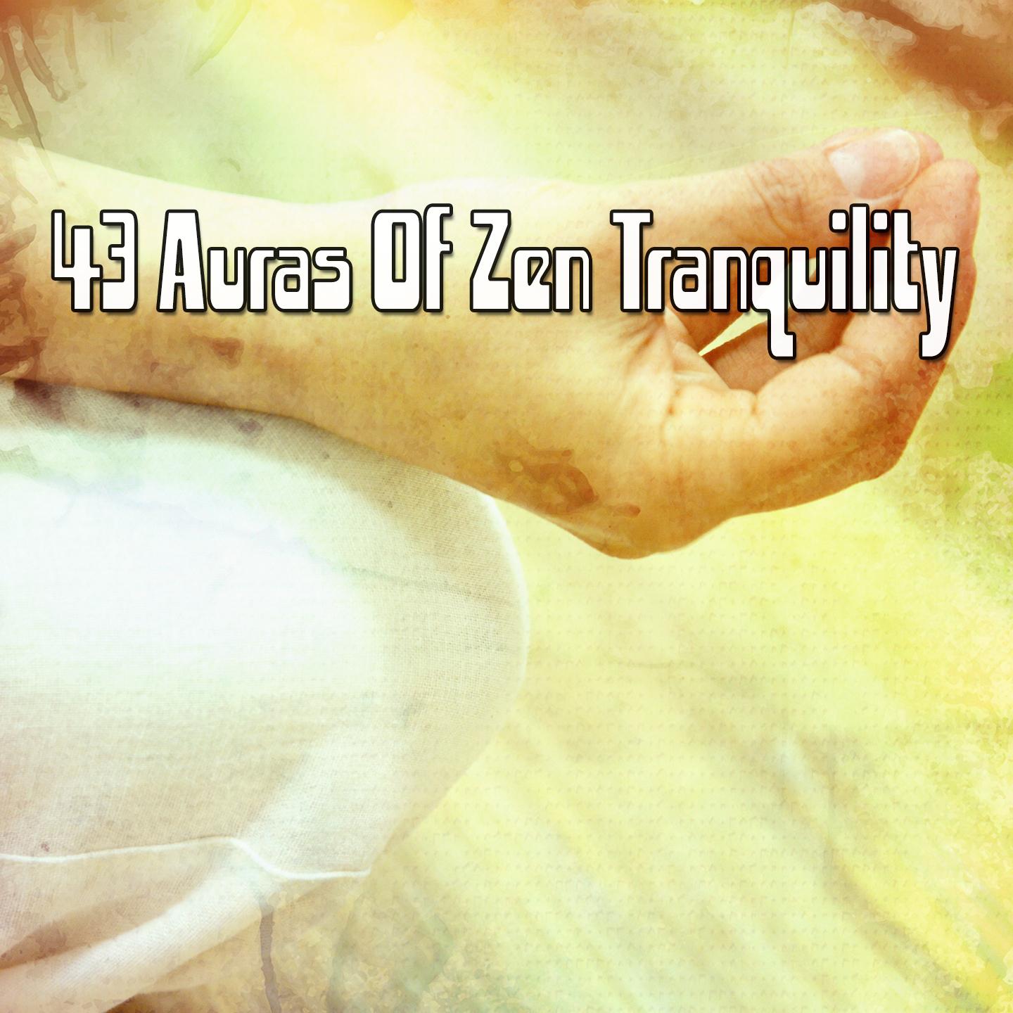 43 Auras Of Zen Tranquility专辑