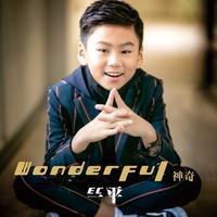 EC一平 - Wonderful神奇