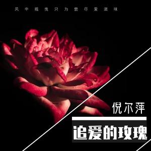 倪尔萍 - 追爱的玫瑰(原版立体声伴奏)