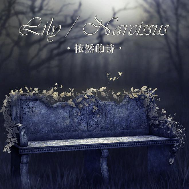 Lily / Narcissus专辑