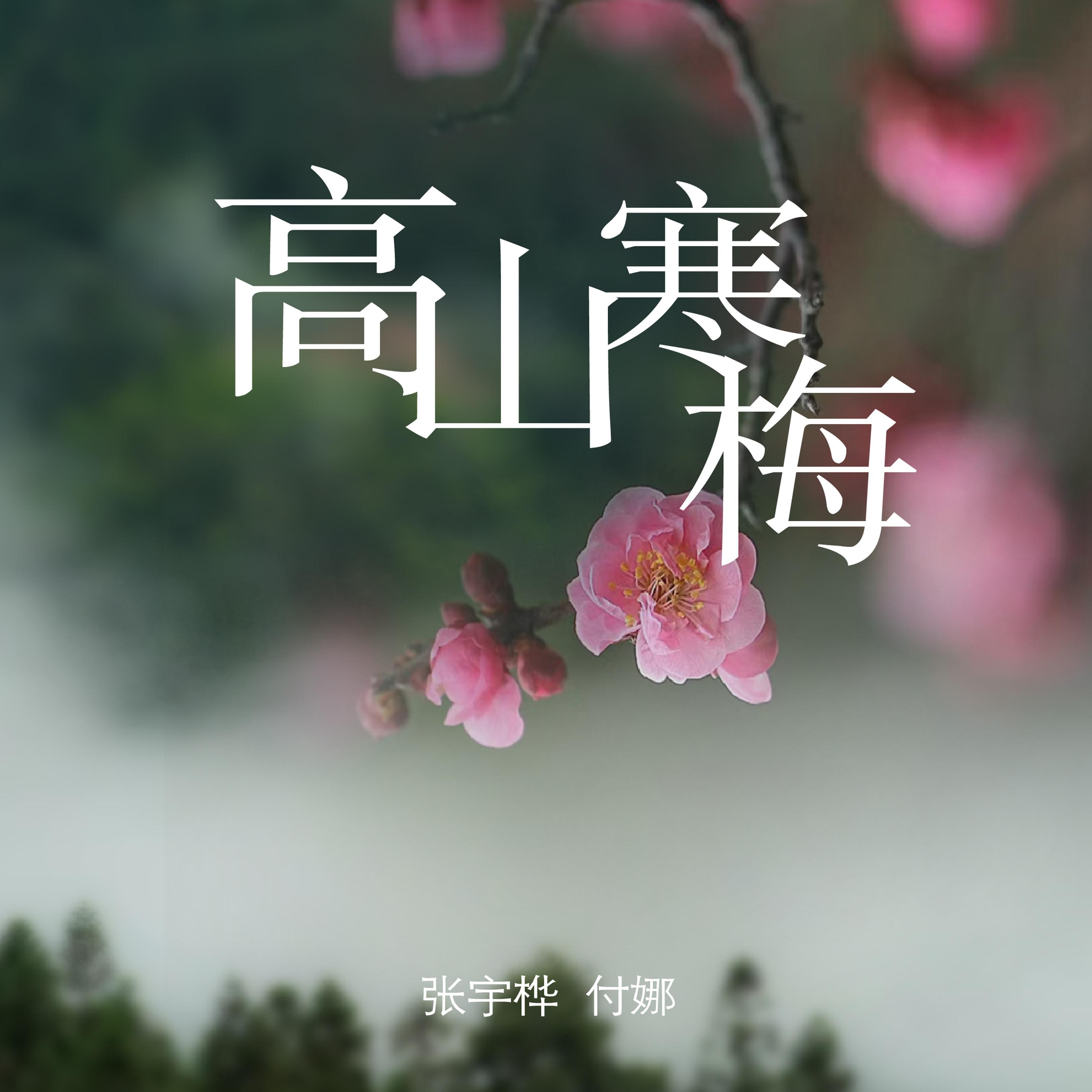 高山寒梅
