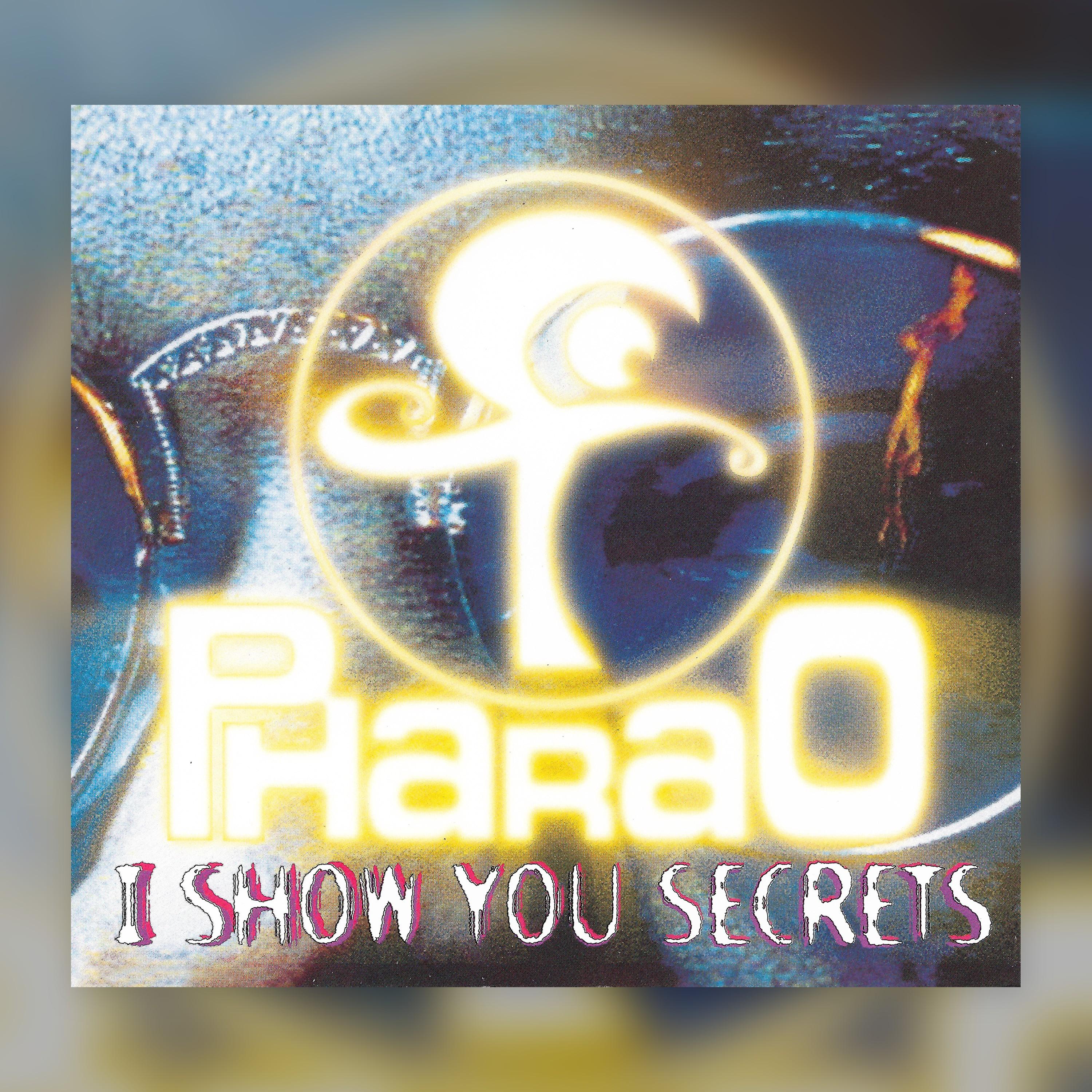 I Show You Secrets (Mixes)