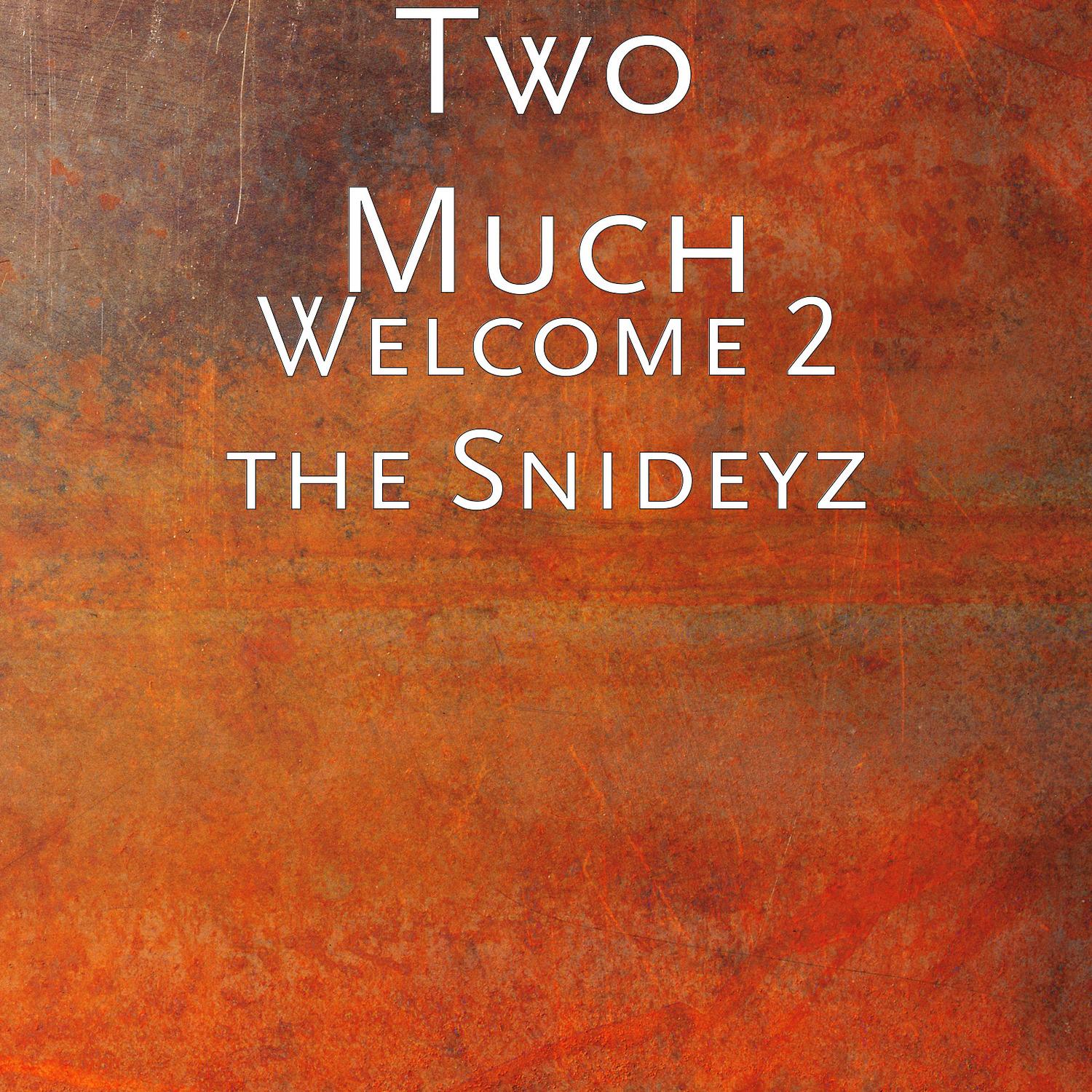 Welcome 2 the Snideyz
