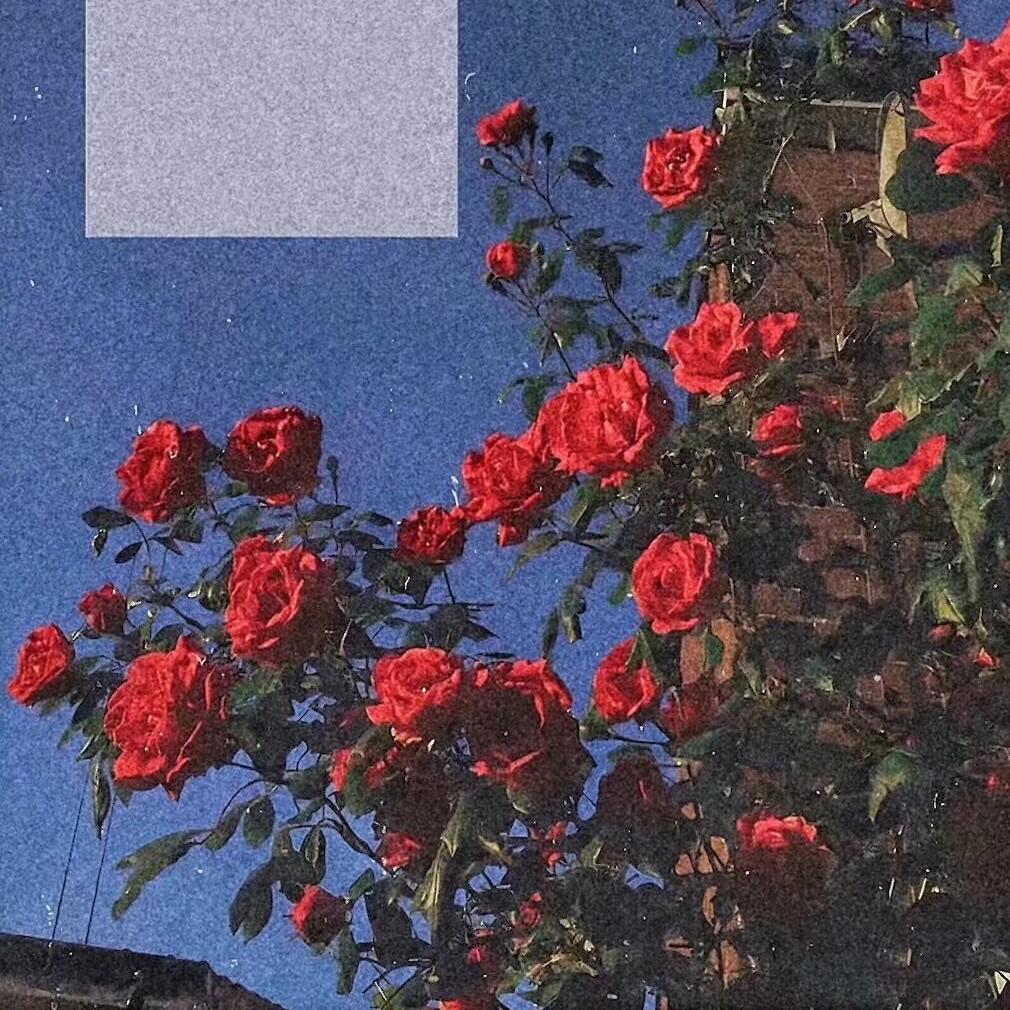 嚣张