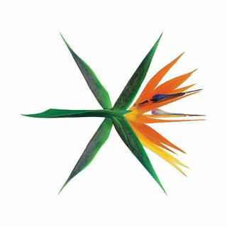 Exo Ko Ko Bop