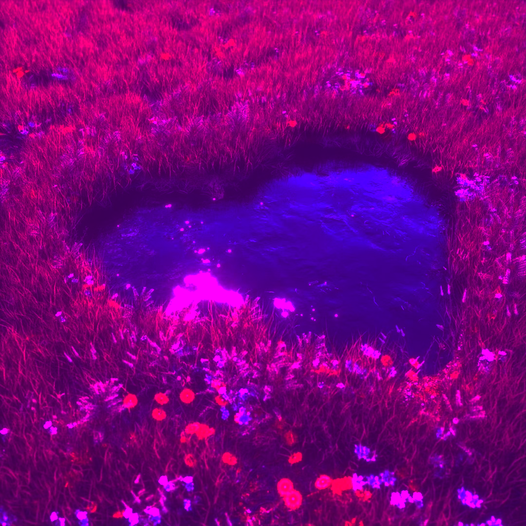 草地MEADOW