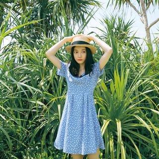 夏日海岛大作战