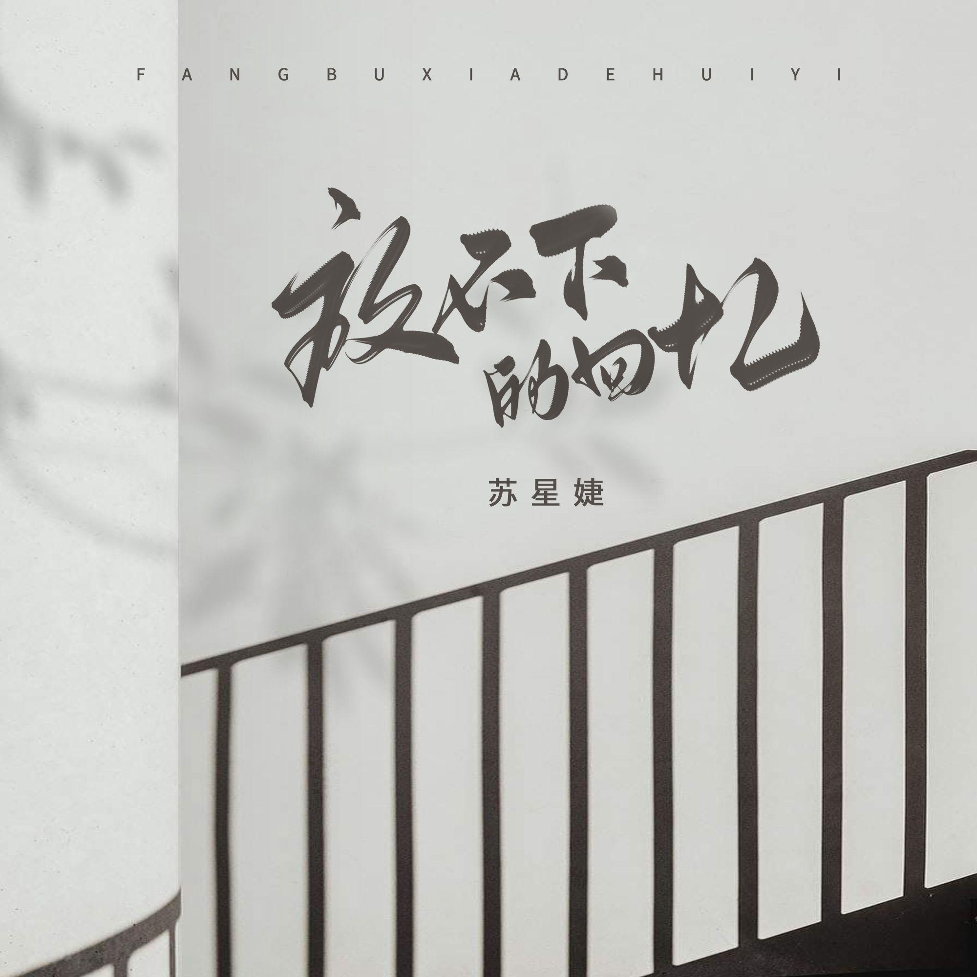 放不下的回忆（DJAh版）