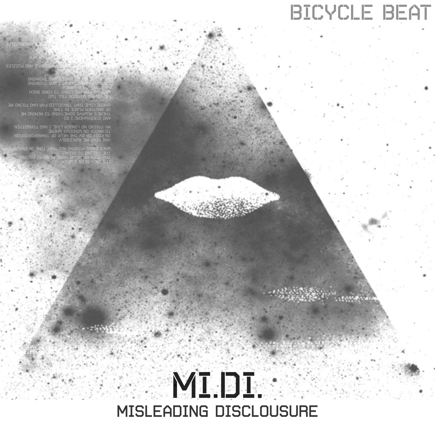 Misleading Disclosure