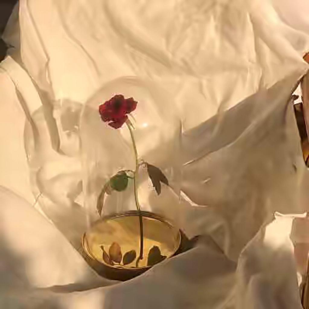 天秤女歌单一枚