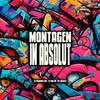 DJ PARAVANI DZ7 - Montagem In Absolut