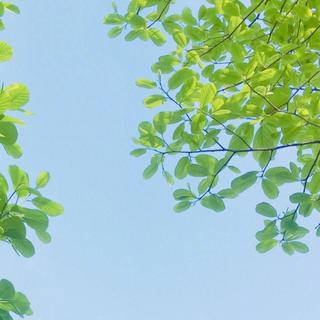 这首曲子从普陀一直流到净慈