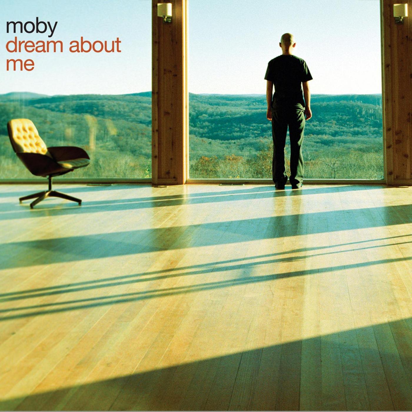 Dream About Me (Remixes)