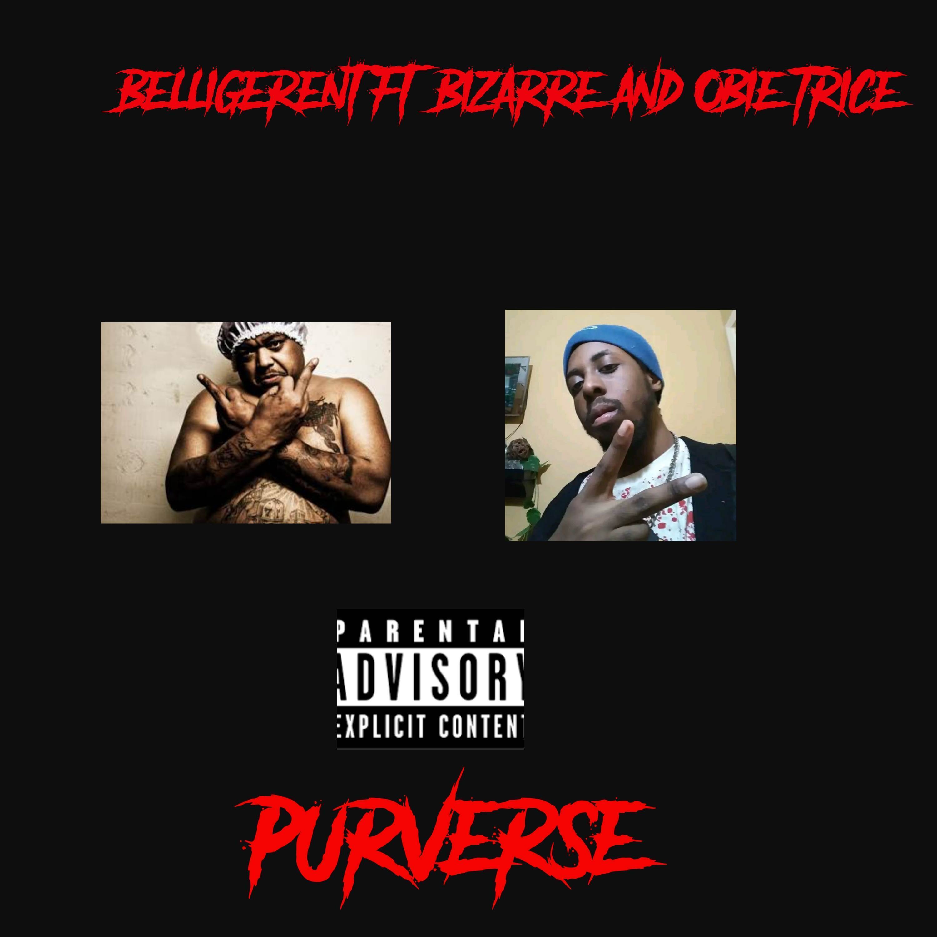 Belligerent