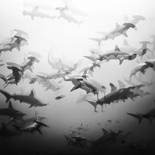 岁月好漫长 你也好难忘