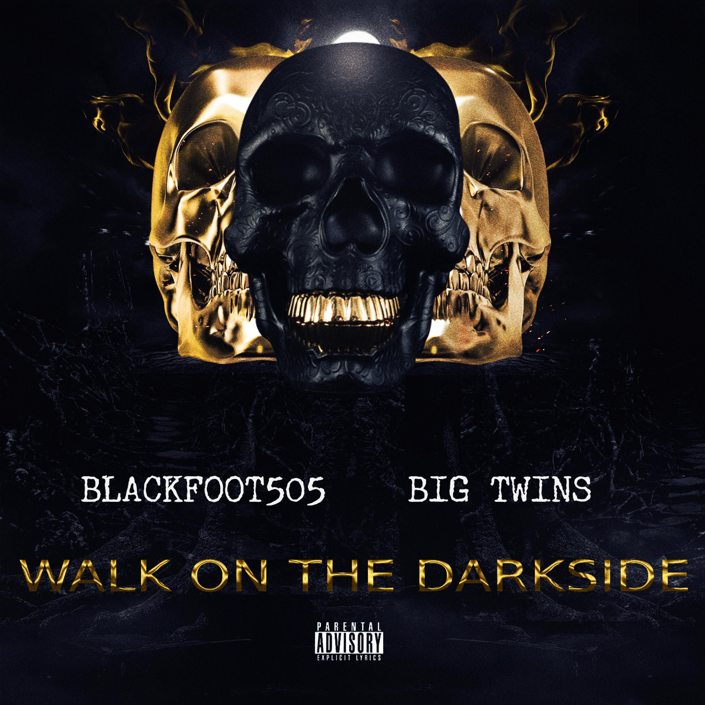 Walk On The Darkside (feat. Big Twins)