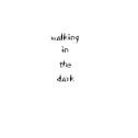 walking in the dark专辑