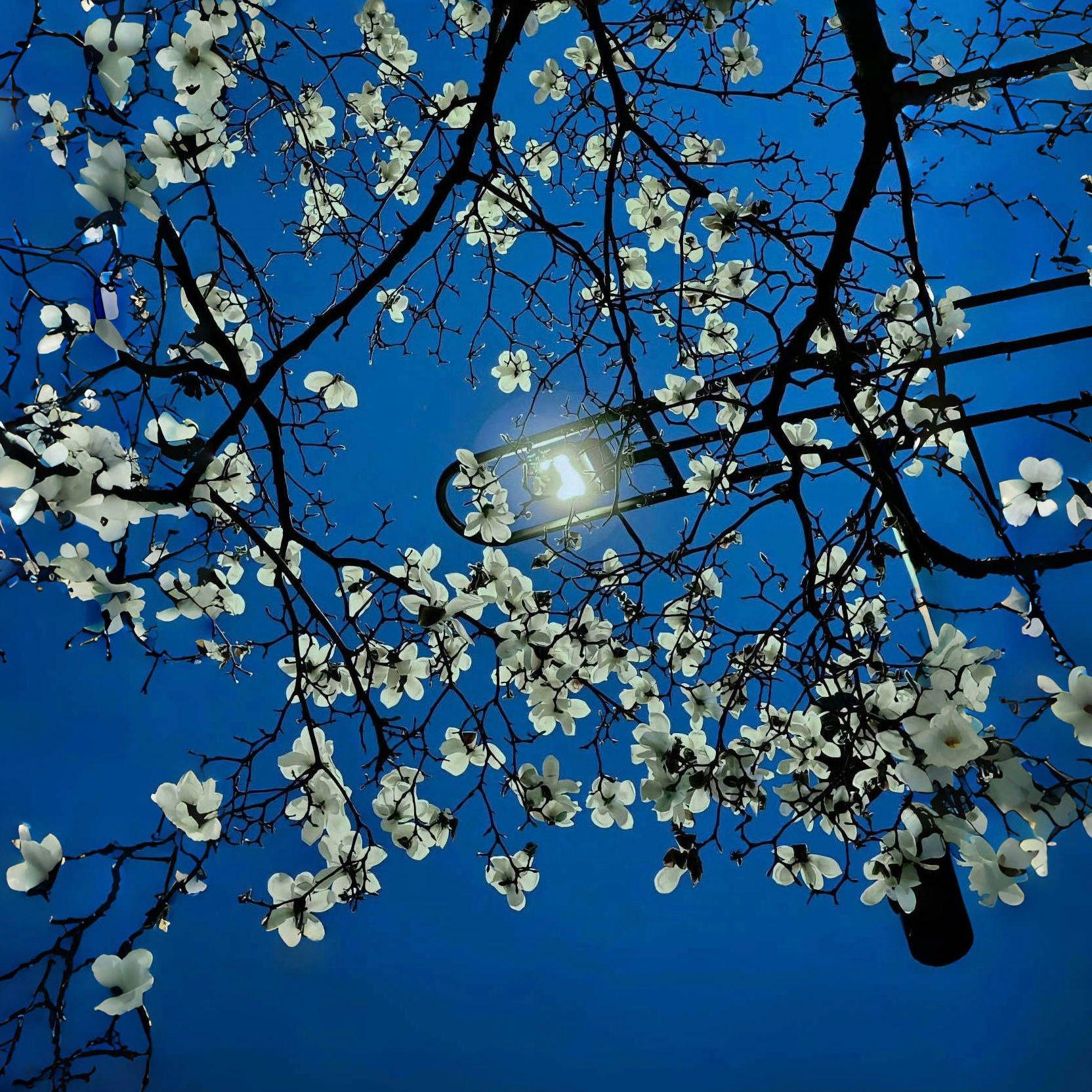 一秒钟的仲夏专辑