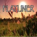 Flatliner - Tribute to Cole Swindell专辑