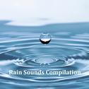 12 Stress Busting Rain Sounds: Ambient Natural Sounds for Wellbeing and Mindfulness专辑