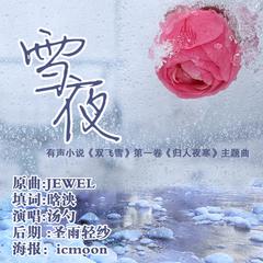 《双飞雪》插曲