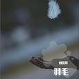羽毛