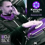 Kaleydo Beats Session #4专辑