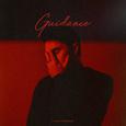 Guidance (Sped Up)