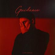 Guidance (Sped Up)