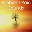 17 Ambient Rain Sounds for Deep Sleep and Natural Yoga Background Music专辑