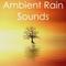 17 Ambient Rain Sounds for Deep Sleep and Natural Yoga Background Music专辑