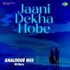 Ri8 Music - Jaani Dekha Hobe - Analogue Mix