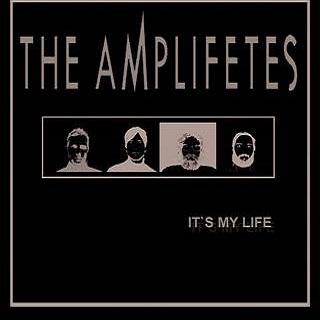 The Amplifetes - It's My Life (Van Rivers And Subliminal Kid Mix)