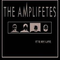 It's My Life (Siva Remix)
