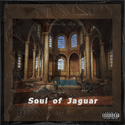 Soul of Jaguar