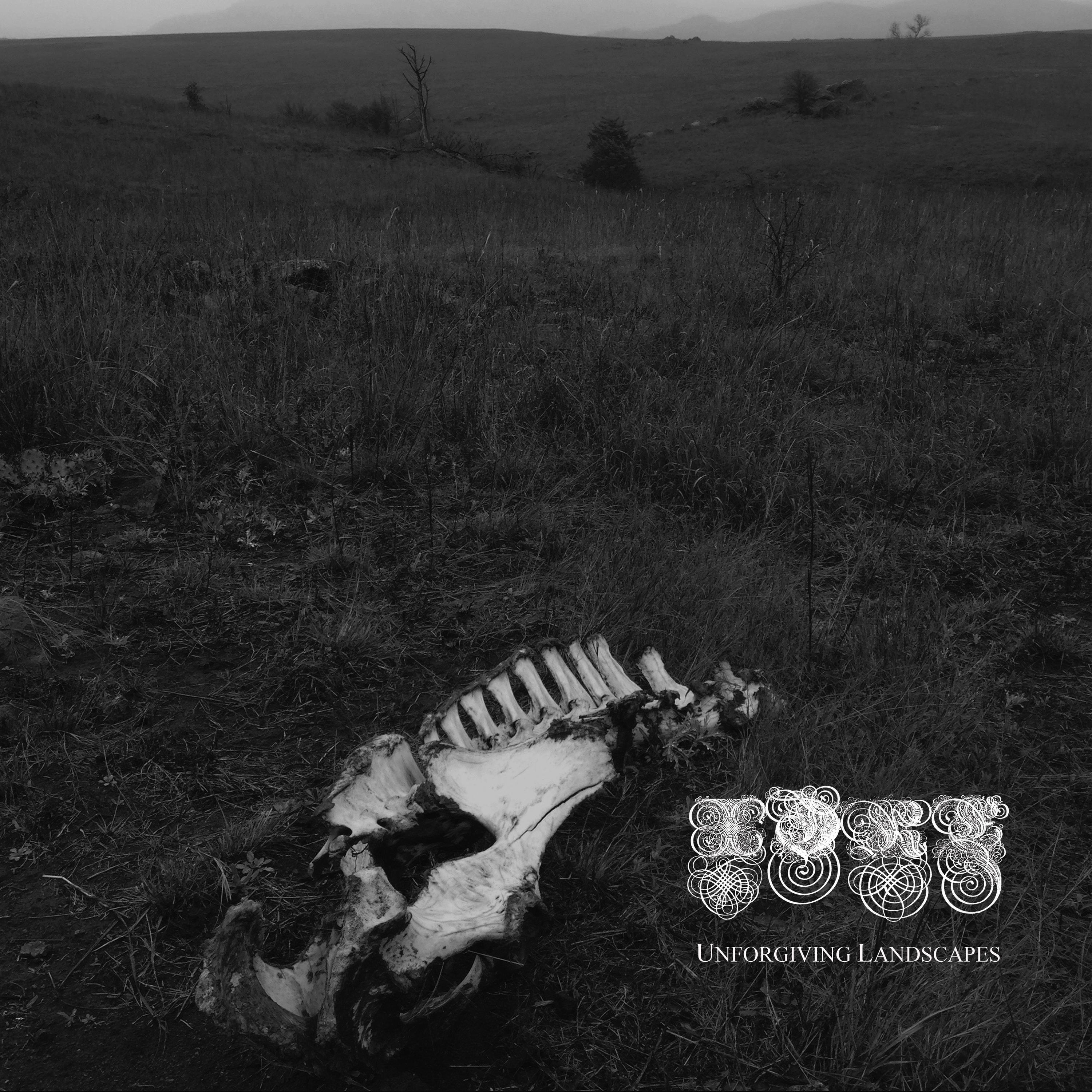 Unforgiving Landscapes