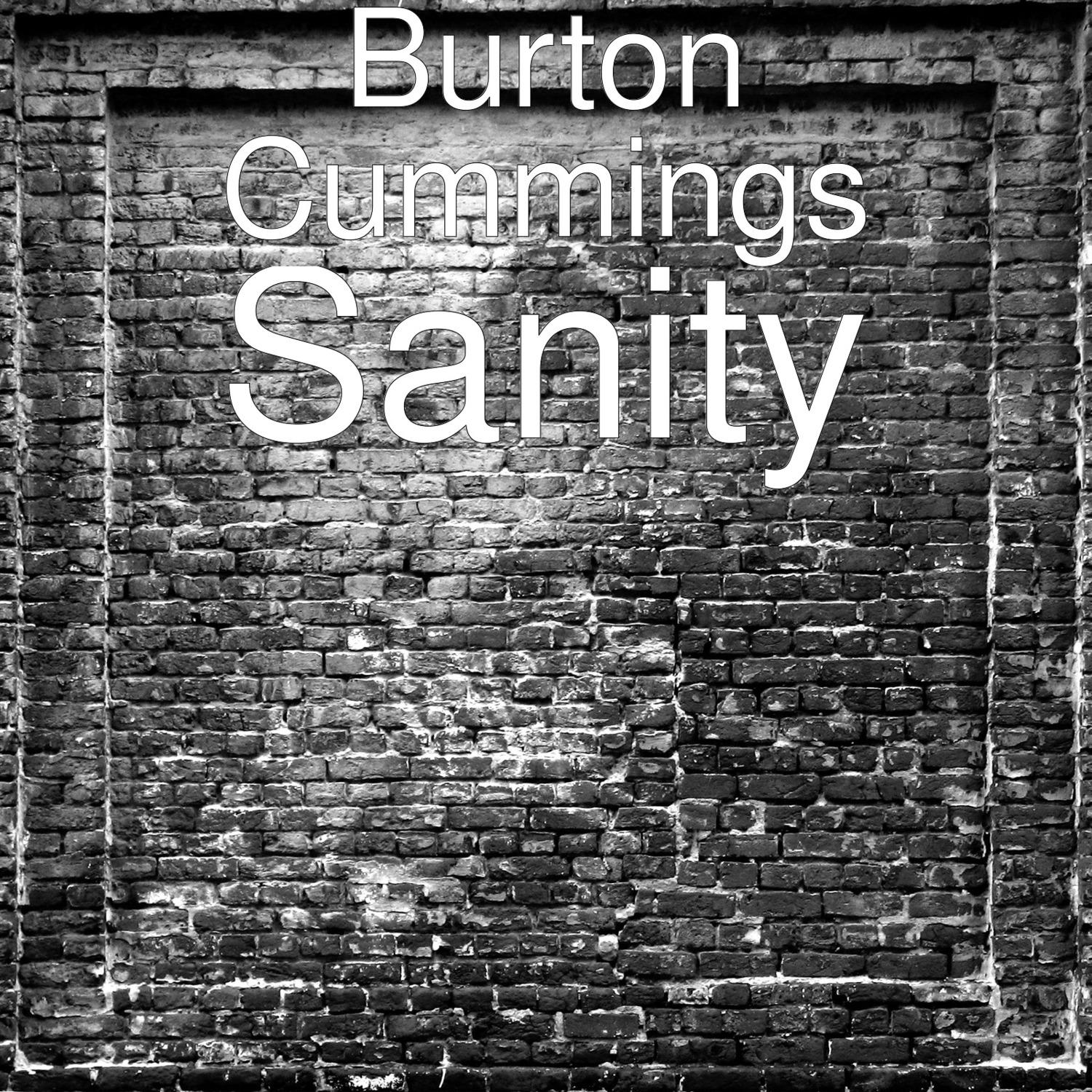 Sanity