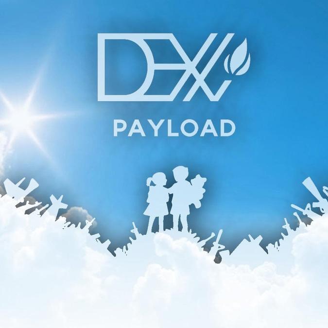 Payload