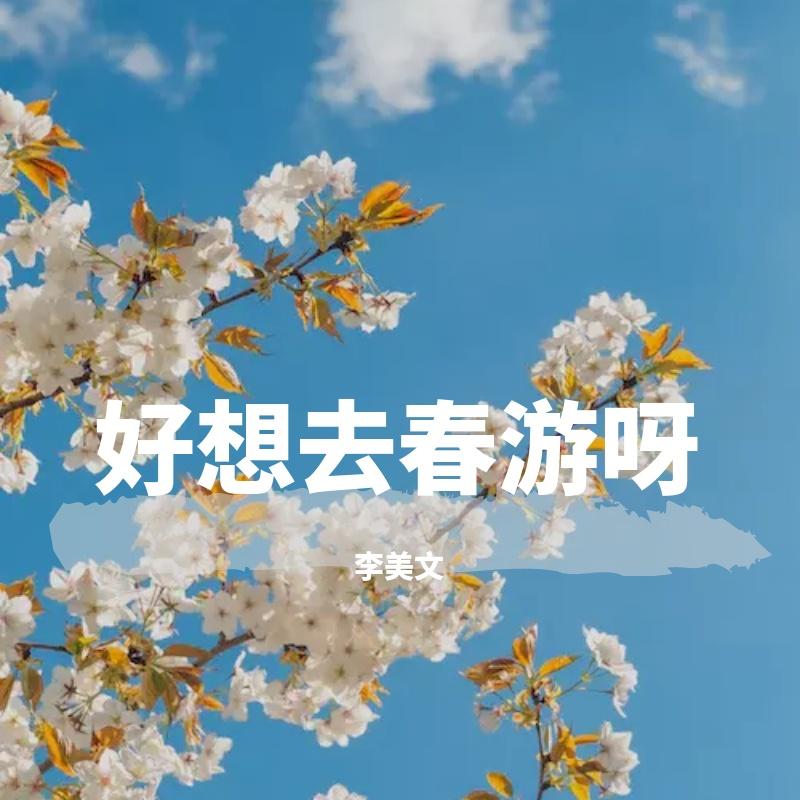 花季旋律(BGM版)