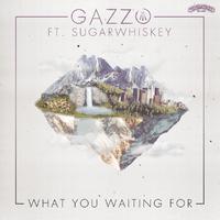 Mizz Nina - What You Waiting For (instrumental)