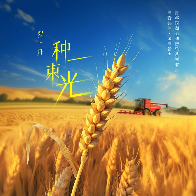 种一束光