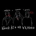 Little Bit of Psycho