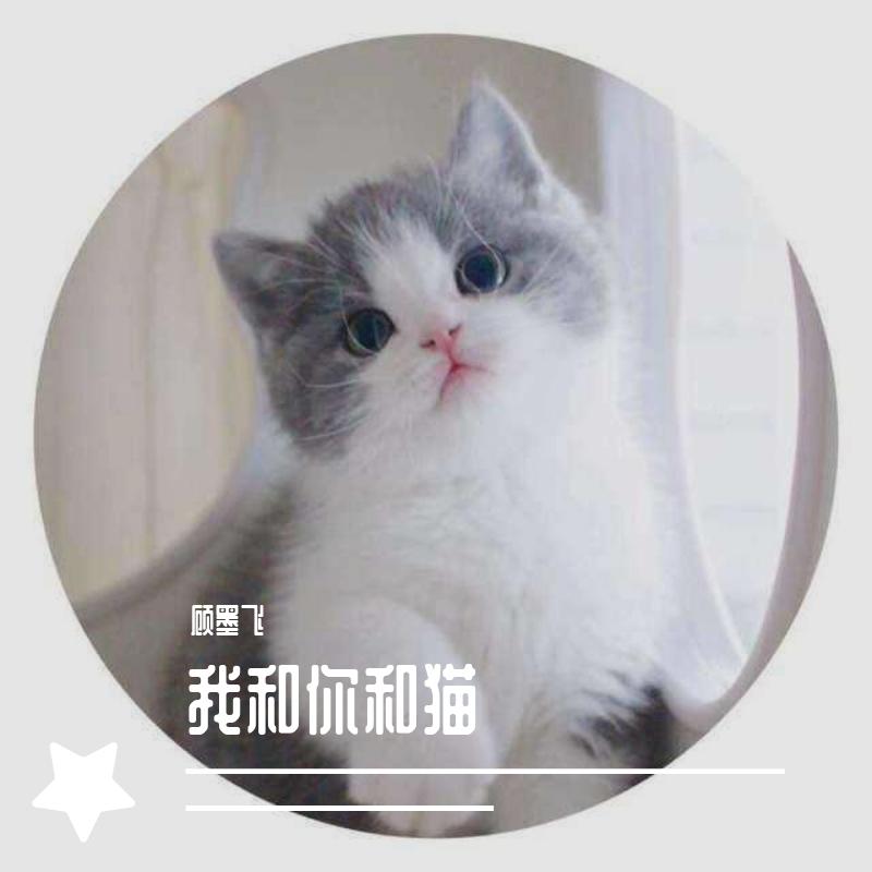 我和你和猫