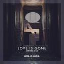 Love Is Gone (Nicolas Haelg Remix)专辑