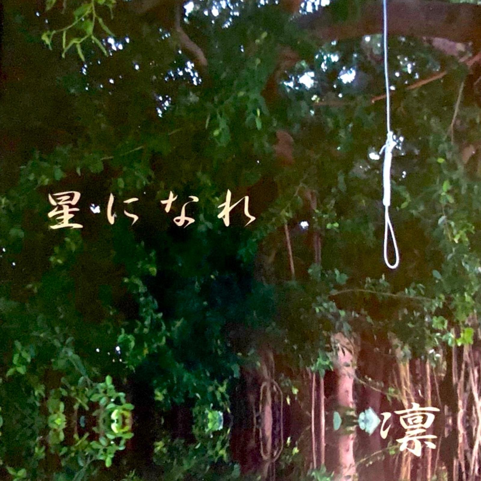 星になれ