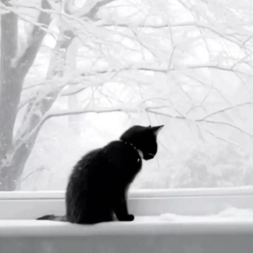 雪
