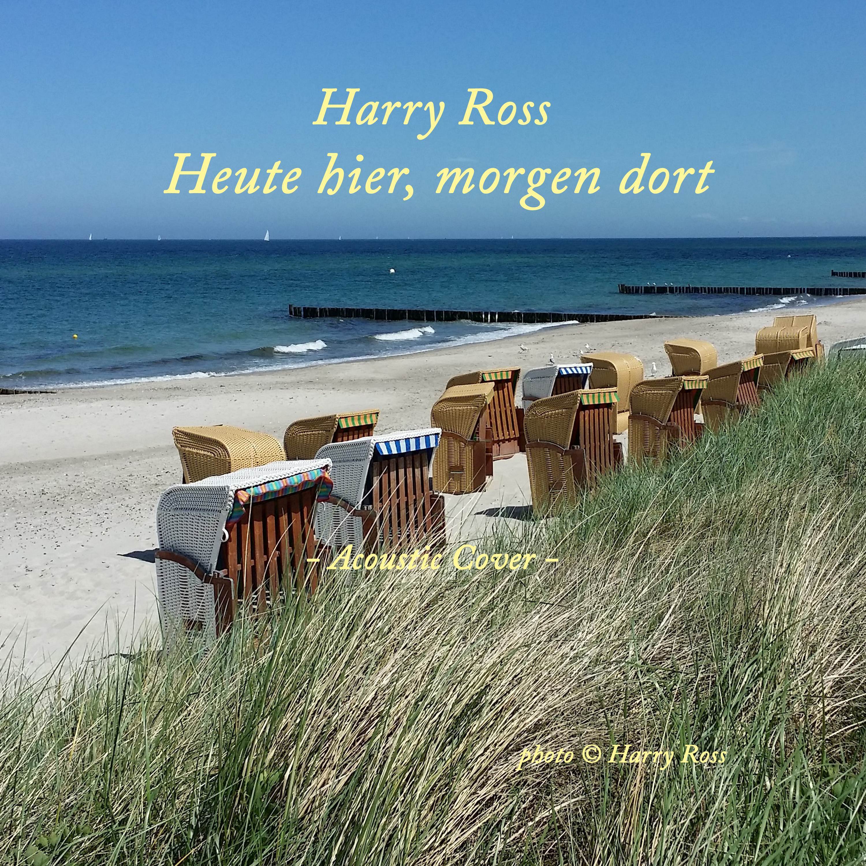 Heute hier, morgen dort (Acoustic Cover)