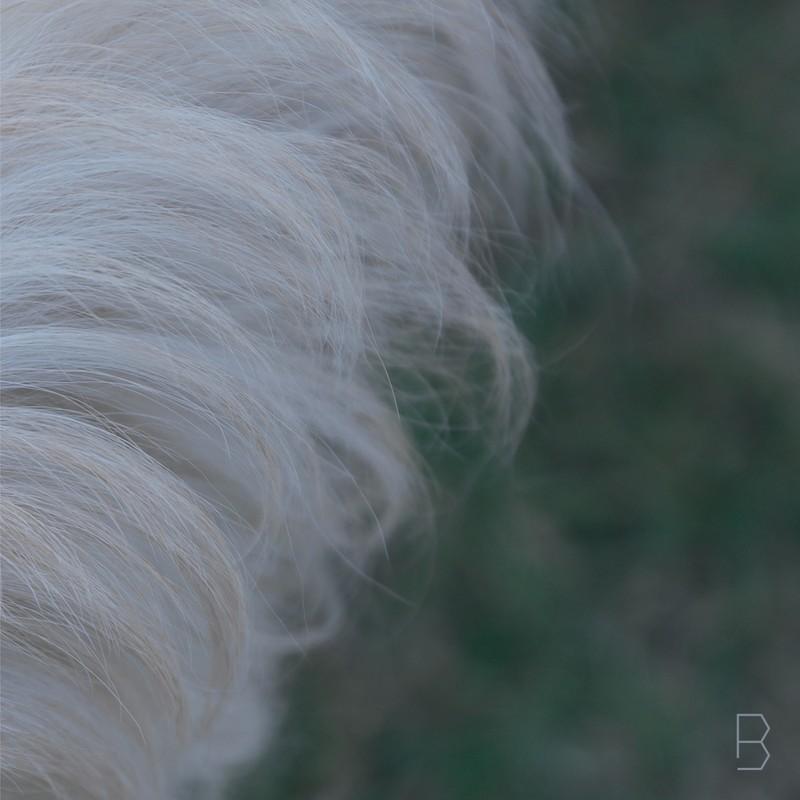 B