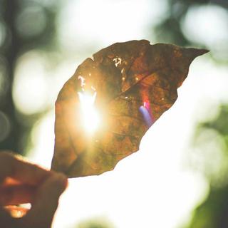 总结你上半年最爱的10首新歌
