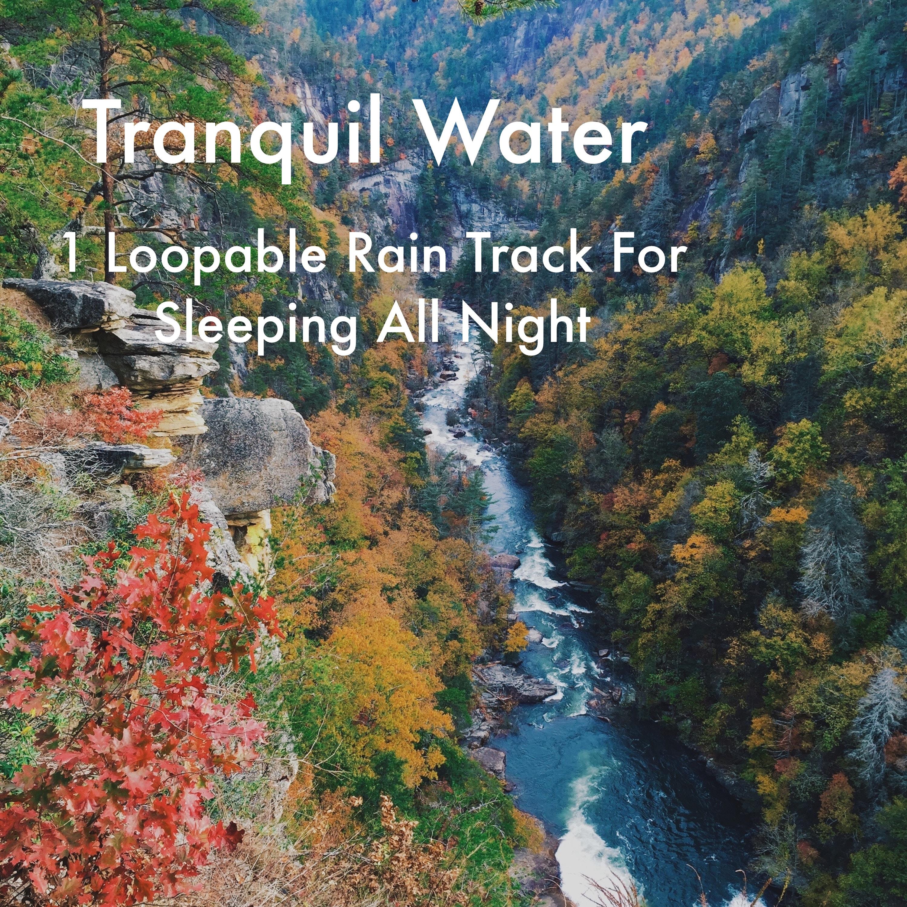 Tranquil Water专辑